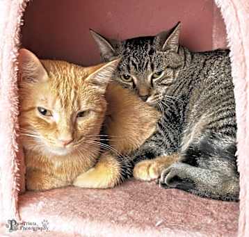 Photo of Tuesday