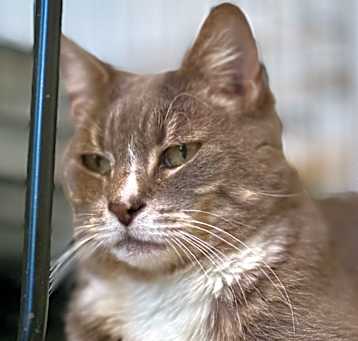 Photo of Siesta (fka Malibu)