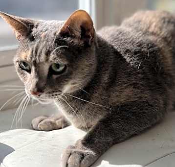 Photo of Sandee