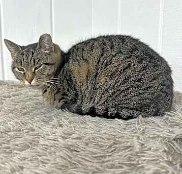 Photo of Sofie