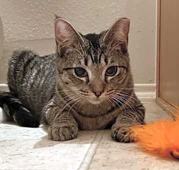 Photo of Gigi