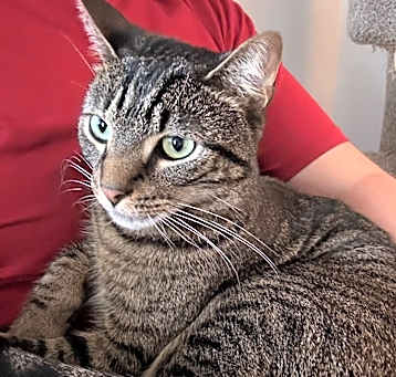 Photo of Toby