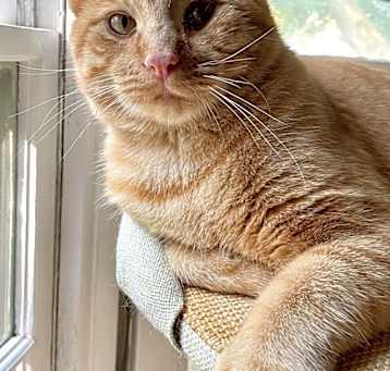 Photo of Bubba Alfred