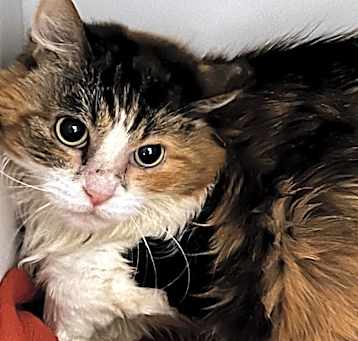 Photo of Danita