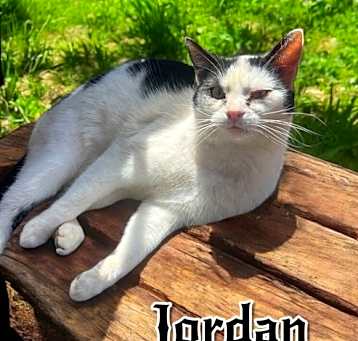 Photo of Jordan