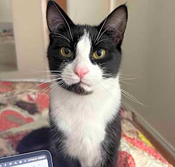 Photo of  Freddie 