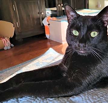 Photo of Lenny
