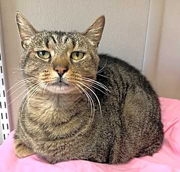 Photo of Tiberius