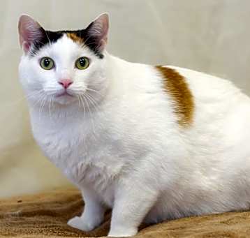 Photo of Maggie