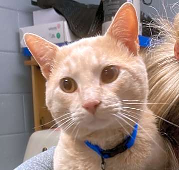 Photo of Reuben25