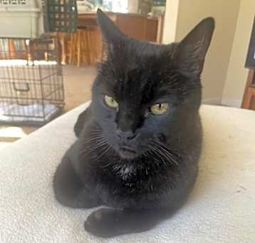 Photo of Big Boy
