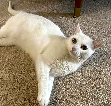 Photo of Lily Ann
