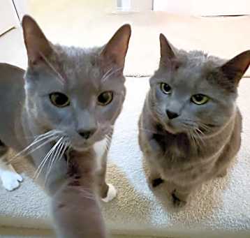 Photo of Socks