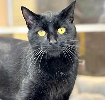 Photo of Carl