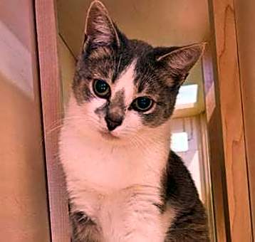 Photo of Ernest