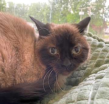Photo of Tia