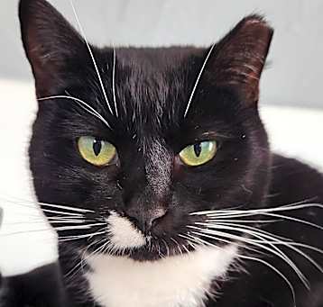 Photo of Marcie