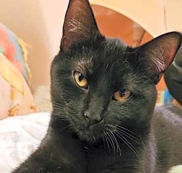 Photo of Esmeralda