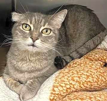 Photo of Kiki