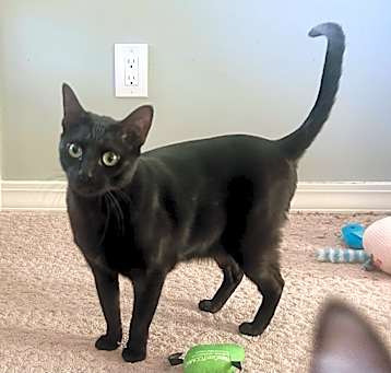 Photo of Kira