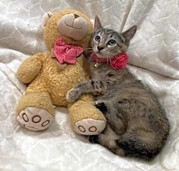 Photo of Bobbi