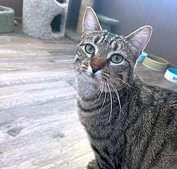 Photo of Linny