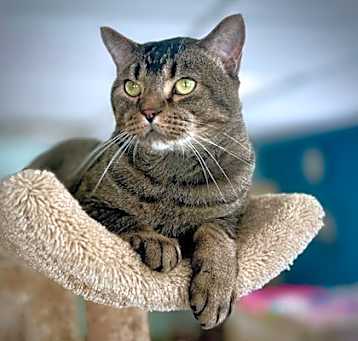 Photo of Sparky