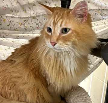 Photo of Ezekiel