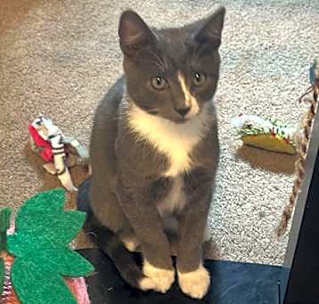 Photo of BoBo (w/ Ariel)