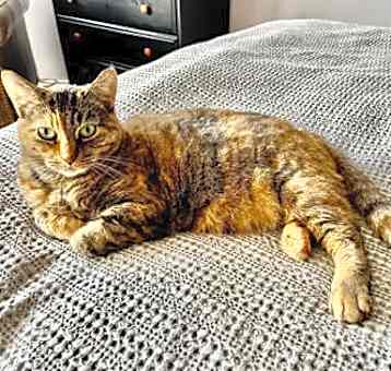 Photo of Chiquita