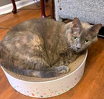 Photo of Suzie