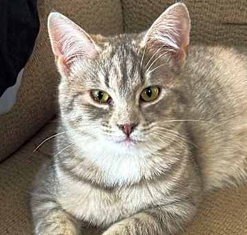 Photo of Rosalie