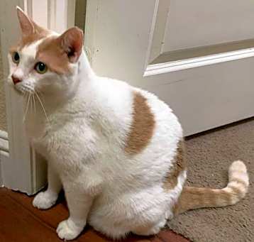 Photo of Pretty Girl