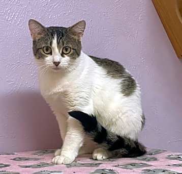 Photo of Bitsy
