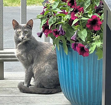 Photo of Tina