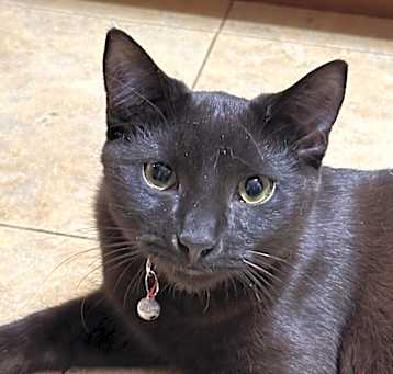 Photo of Thumper