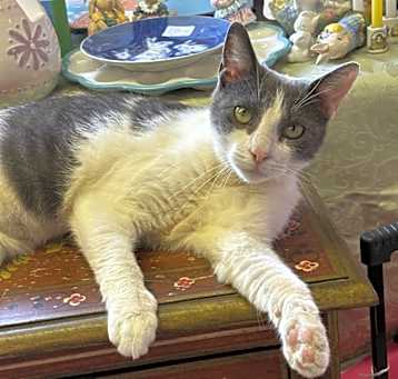 Photo of Twilda
