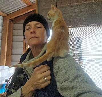 Photo of Tango