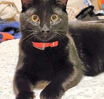 Photo of Milly