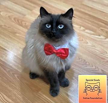 Photo of Tuna