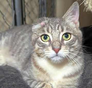 Photo of Uno
