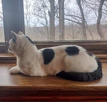 Photo of Yeti