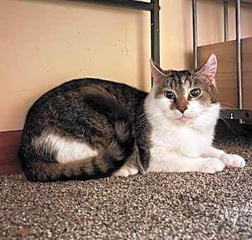 Photo of Jelly