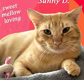 Photo of SUNNY D.