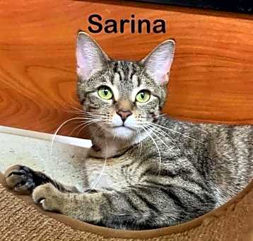 Photo of Sarina (24-540)