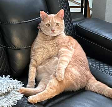Photo of Charlie