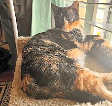 Photo of Jelly