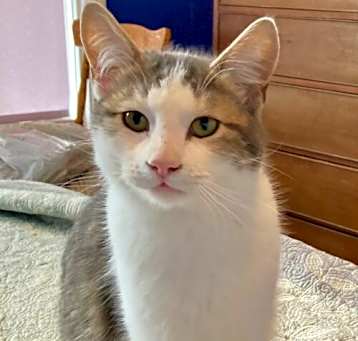 Photo of Kenjo