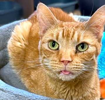 Photo of Rudy