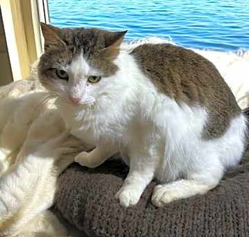Photo of Lillie